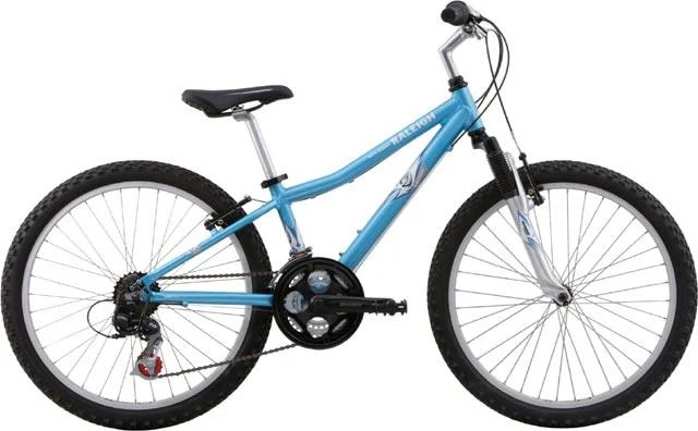 2007 Raleigh Mtn Scout