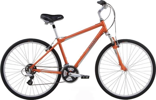 2007 Raleigh Passage 3.0