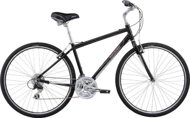 2007 Raleigh Passage 4.5