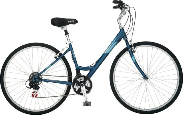 2007 Schwinn Voyageur