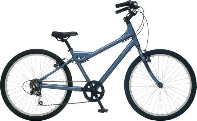 2007 Schwinn Midi Collegiate