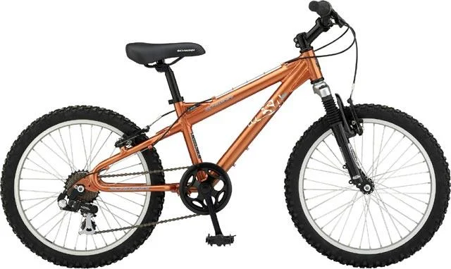 2007 Schwinn Mini Mesa
