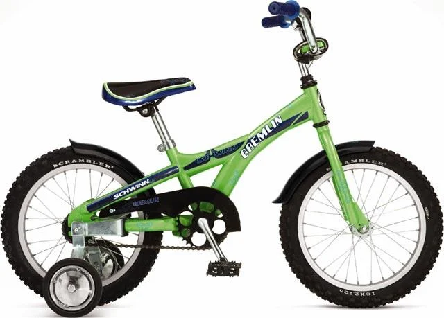 2007 Schwinn Gremlin