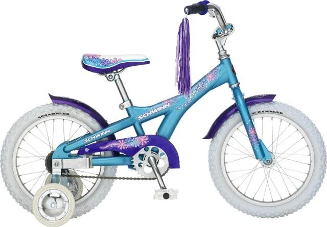 2007 Schwinn Lil Stardust