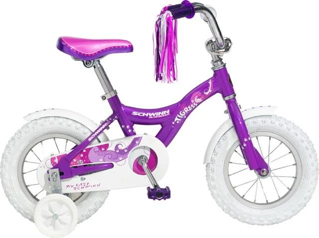 2007 Schwinn Tigress AL