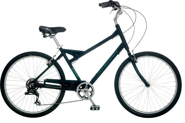 2007 Schwinn Collegiate Seven