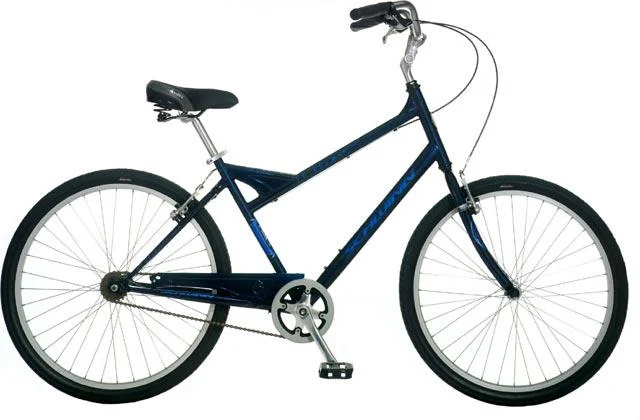 2007 Schwinn Collegiate One