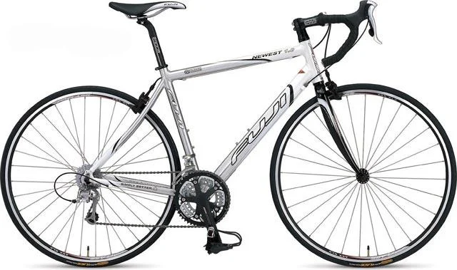 2007 Fuji Newest 1.0