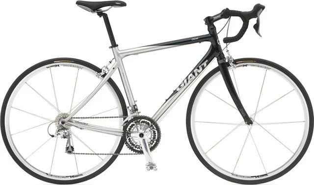 2007 Giant OCR 1