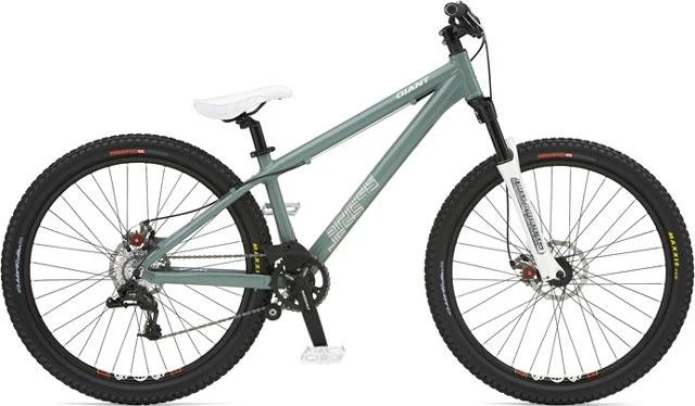 2007 Giant STP