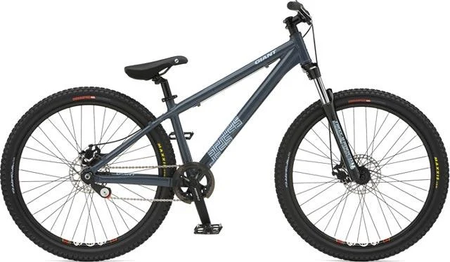 2007 Giant STP SS