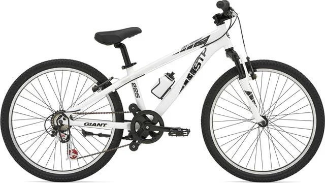 2007 Giant STP 225