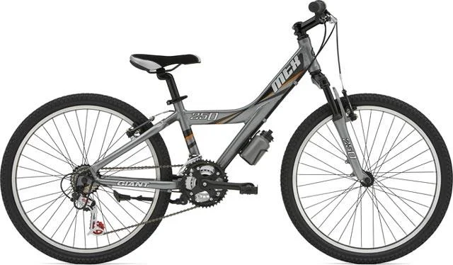 2007 Giant MTX 250