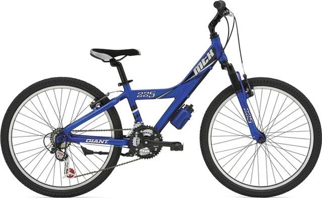2007 Giant MTX 225