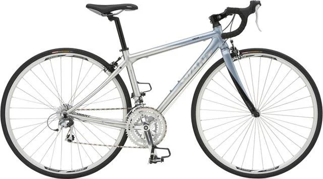 2007 Giant OCR 3 w