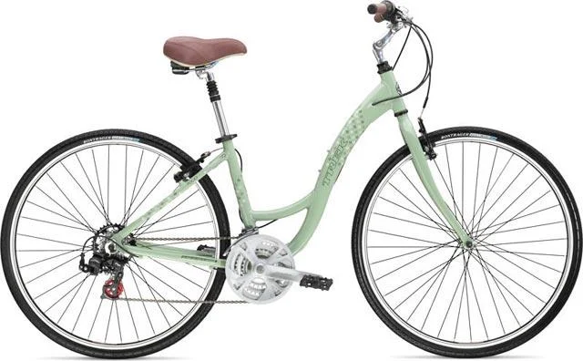 2007 Trek 7000 WSD