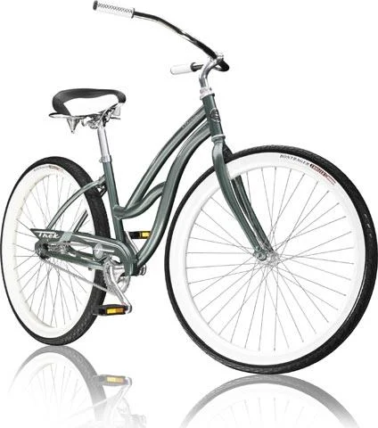2007 Trek Cruiser Classic Steel