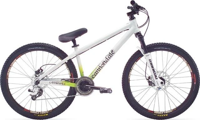 2007 Cannondale Chase 1