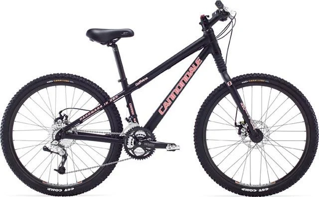2007 Cannondale Caffeine Feminine 1