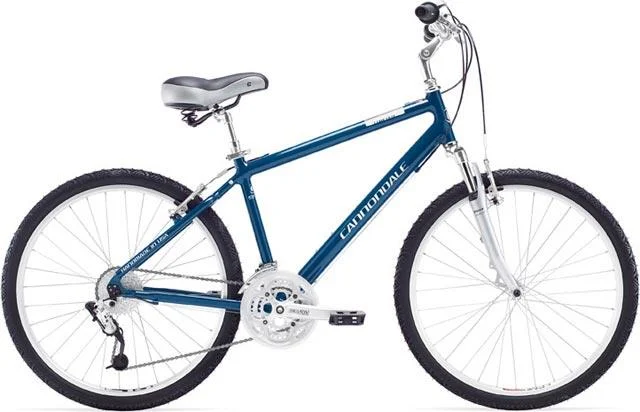 2007 Cannondale Comfort