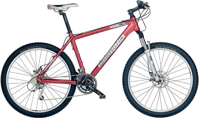 2007 Bianchi Mutt 7700