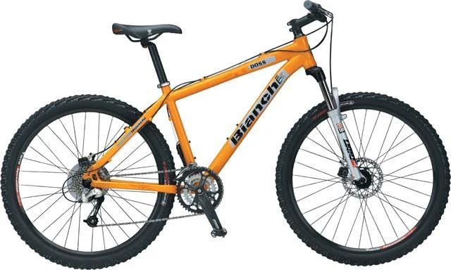 2007 Bianchi Doss 6600