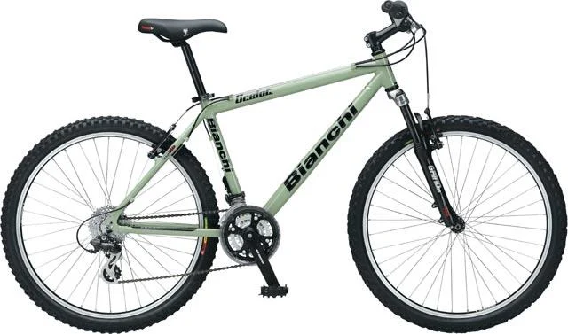 2007 Bianchi Ocelot