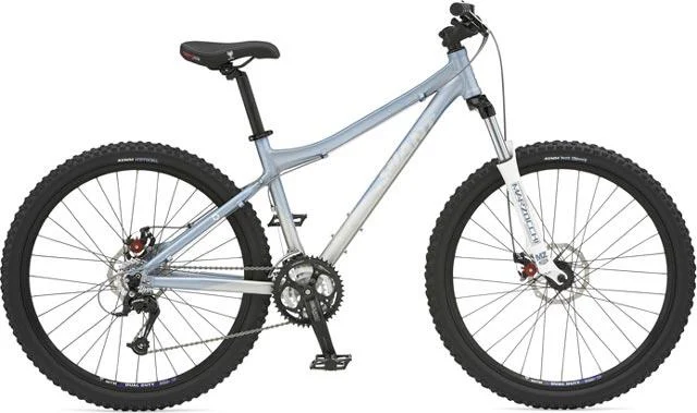 2007 Giant Rainier W