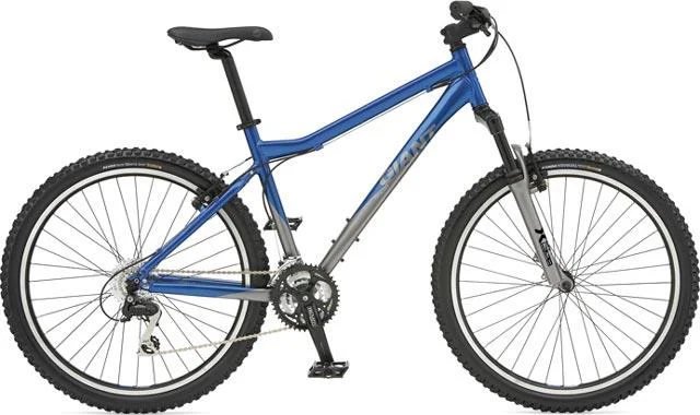 2007 Giant Rincon Knobby