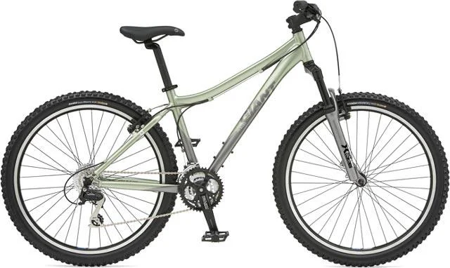 2007 Giant Rincon W