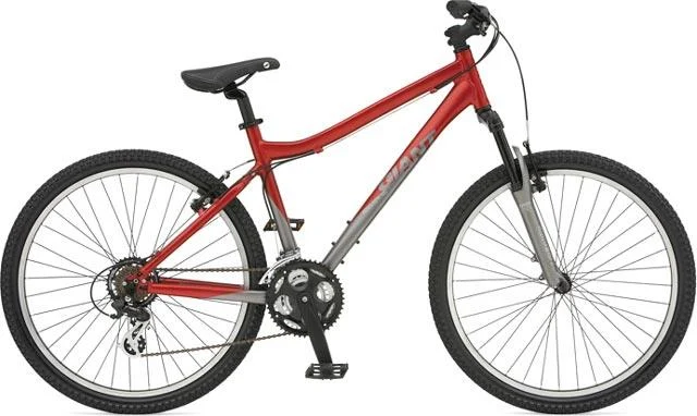 2007 Giant Boulder SE Semi-Slick