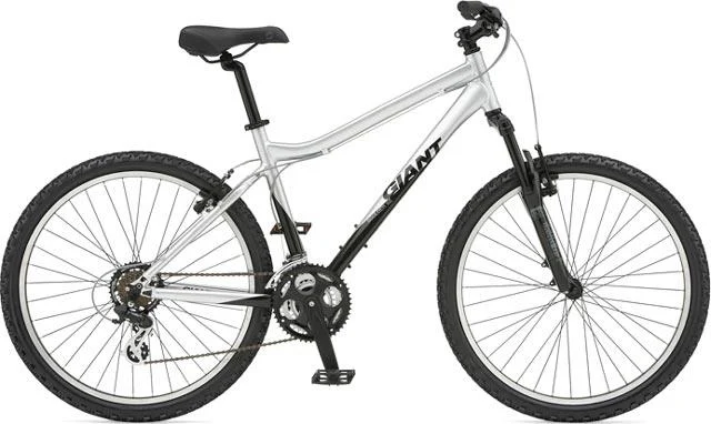 2007 Giant Boulder SE Knobby