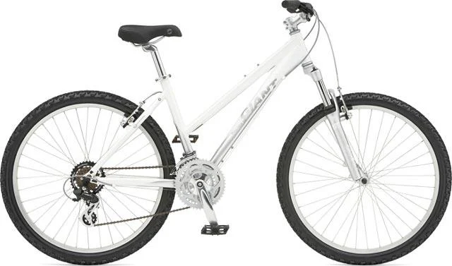 2007 Giant Boulder SE W