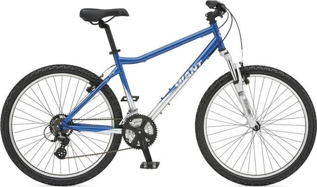 2007 Giant Boulder Knobby