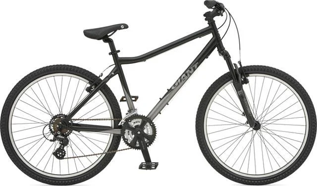 2007 Giant Boulder Semi-Slick
