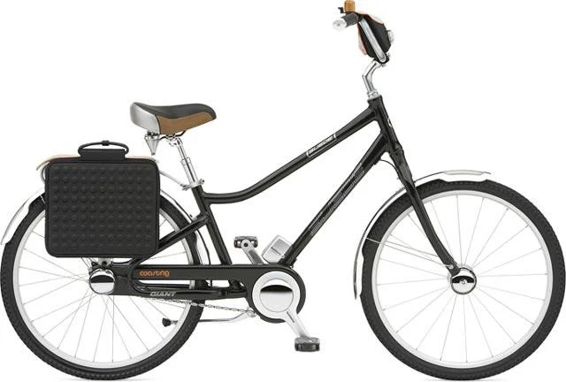 2007 Giant Suede Coasting DX