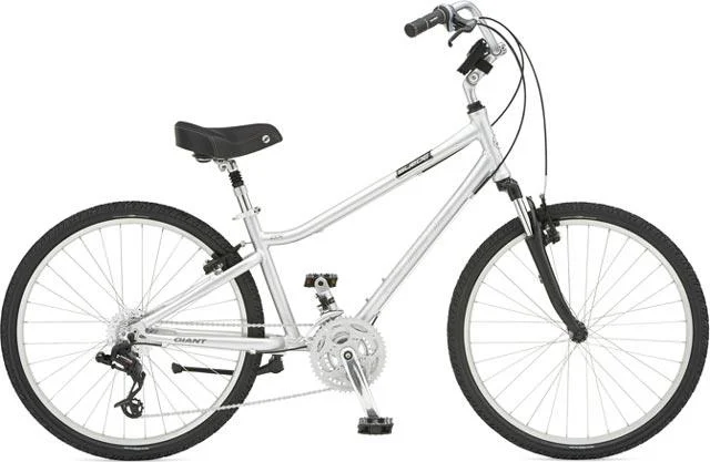 2007 Giant Suede DX