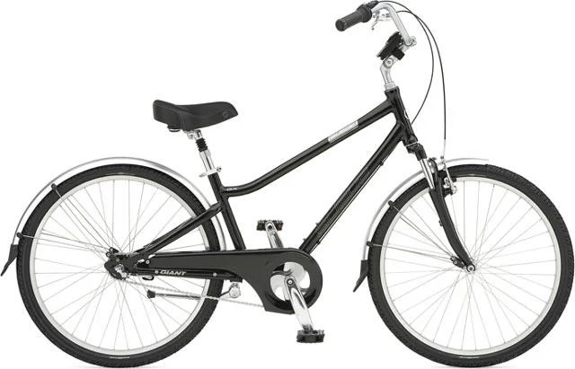 2007 Giant Suede GX