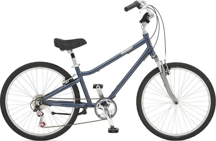 2007 Giant Suede