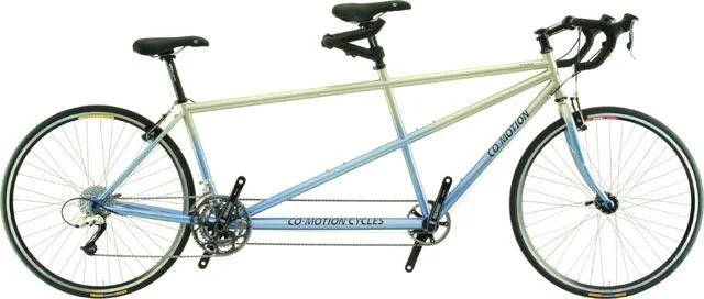 2007 Co-Motion Primera