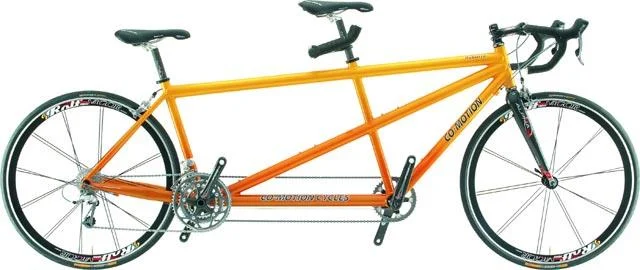 2007 Co-Motion Robusta (Campagnolo)