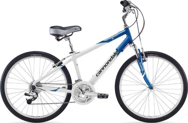 2008 Cannondale Comfort 4