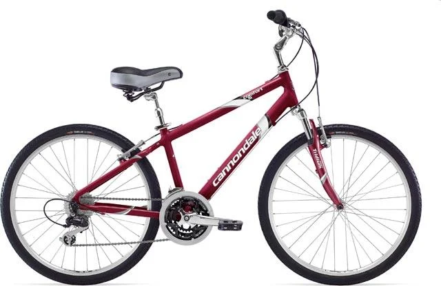 2008 Cannondale Comfort 5