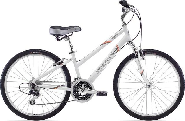 2008 Cannondale Comfort Feminine 5