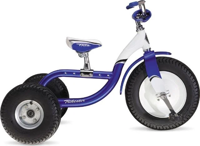 2008 Trek Trikester