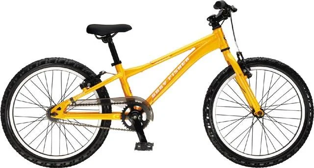 2008 Gary Fisher PreCaliber SS