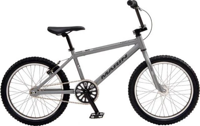 2008 Marin MBX 250 Expert