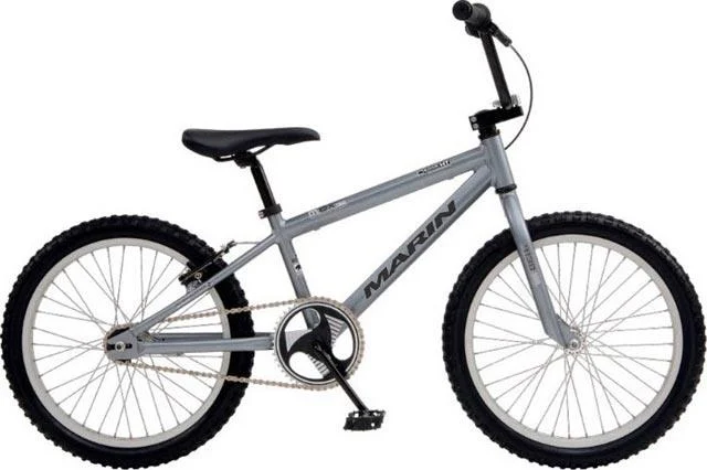 2008 Marin MBX 150 Junior