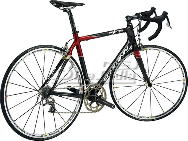 2008 Schwinn Peloton LTD-SRAM