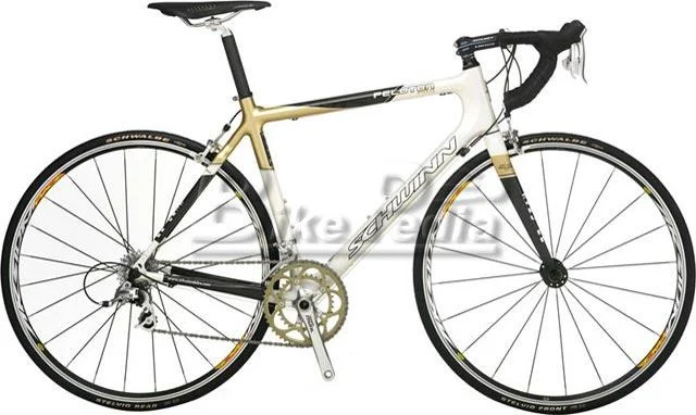 2008 Schwinn Peloton Pro